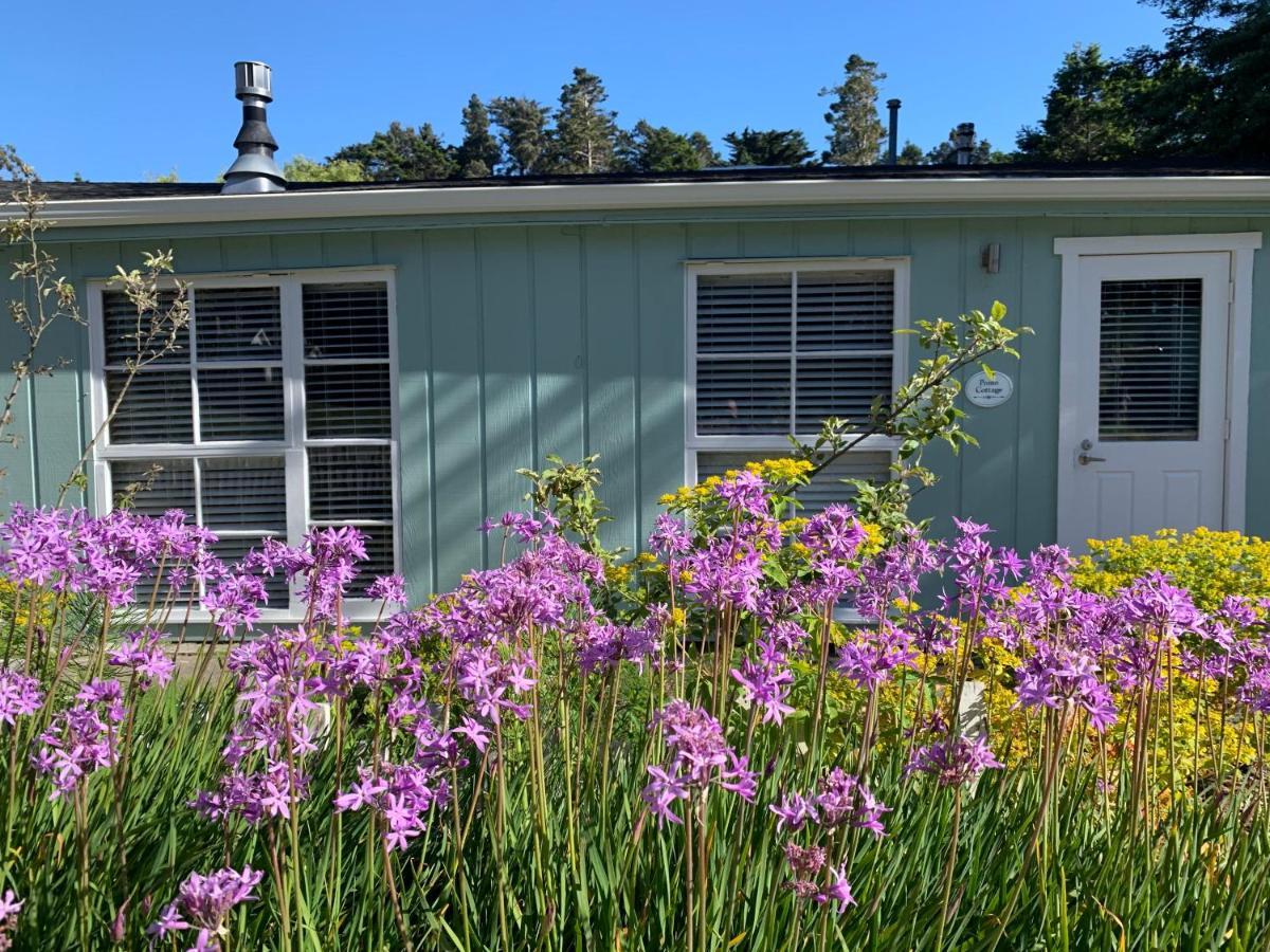 Inn At Schoolhouse Creek Little River Exterior foto